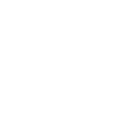 Flying Iguana